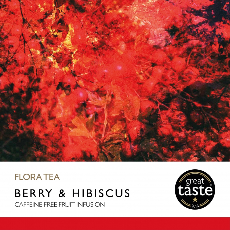 Berry & Hibiscus 10 st. Incl Tea to Go bottle